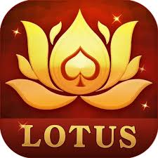 teen patti heavan download